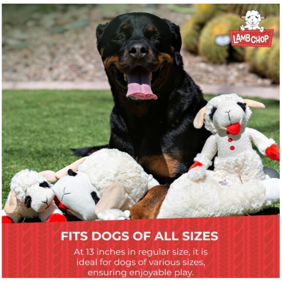 Lambchop Dog Toy - Picture 3 of 10